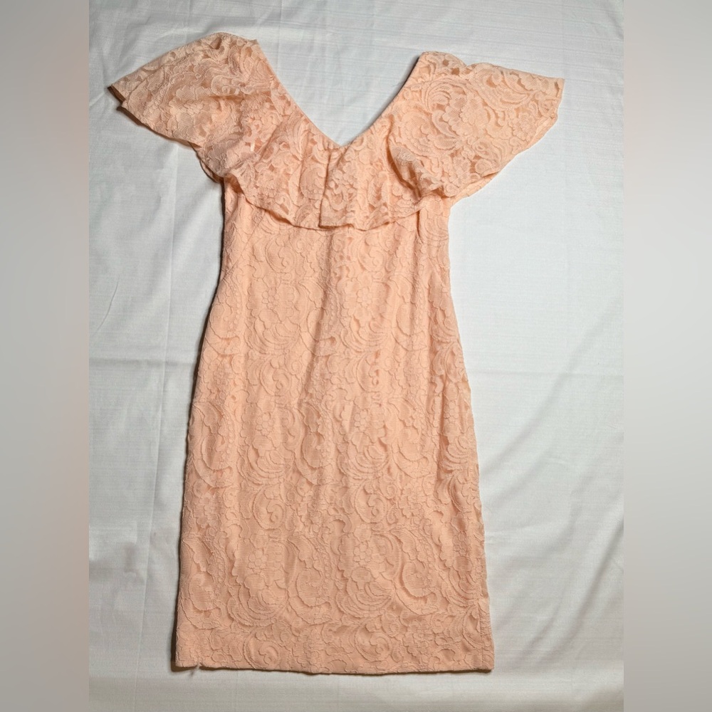 Lauren Ralph Lauren Pastel Peach Paisley Lace Ruffle Lined Women’s  Dress Sz:6